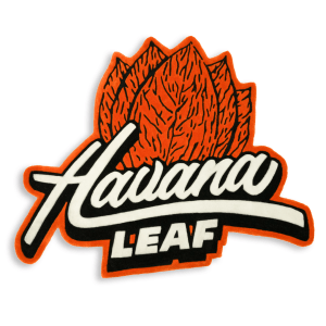 Hand-tufted Rug - Havana Leaf – Chocolate Stout (L)