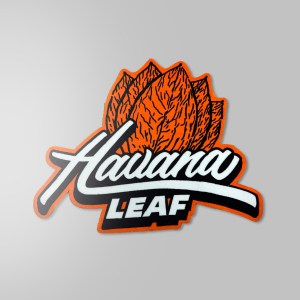 Rug – Chocolate Stout (M)