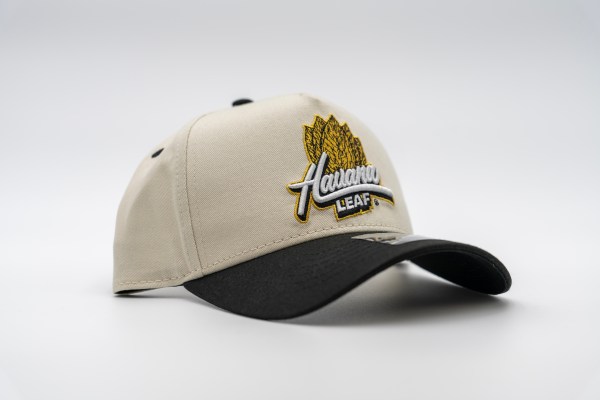 HAT3