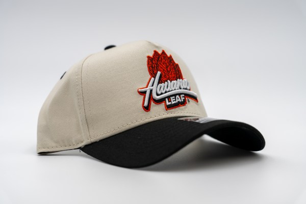 HAT7
