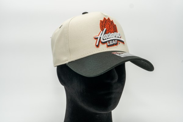 MANIC HAT2