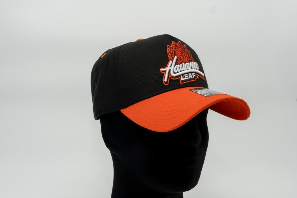 MANIC HAT5