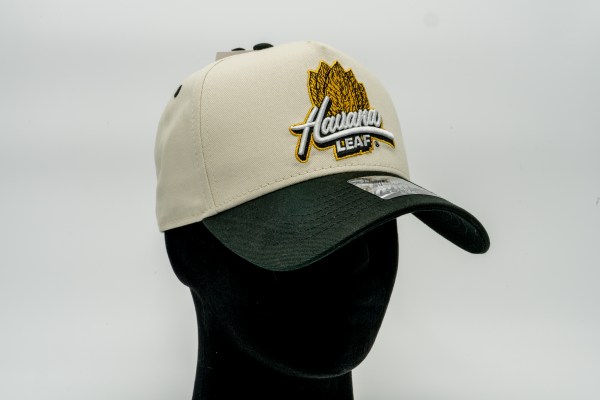 MANIC HAT8