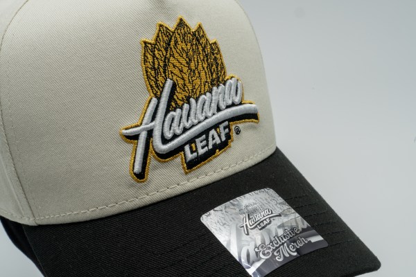 MANIC HAT9