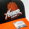 Havana Leaf - Adjustable Cap Collection